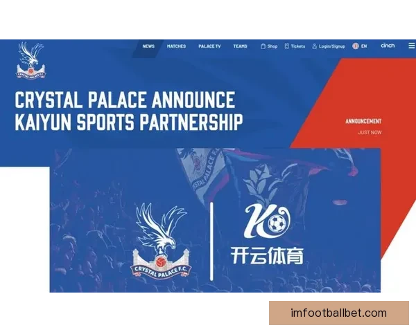 IM体育与开云平台全面对比哪家更适合用户选择